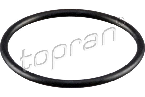 THERMOSTAT GASKET | 06H121119E - Harrys Euro